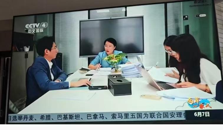 央视中文国际频道节目出镜